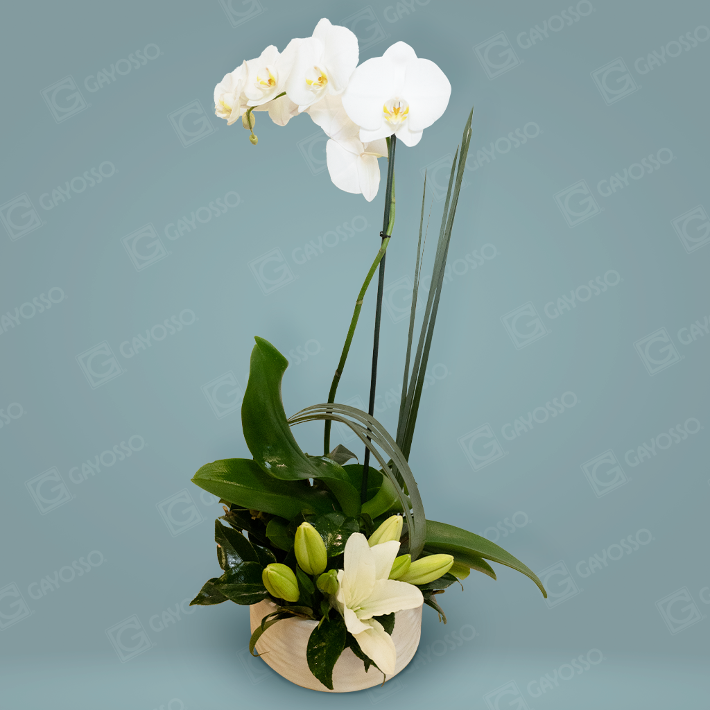Arreglo Floral Orquídea